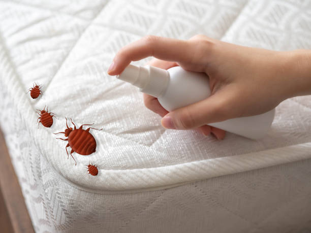 Best Residential Pest Control  in Albertson, NY